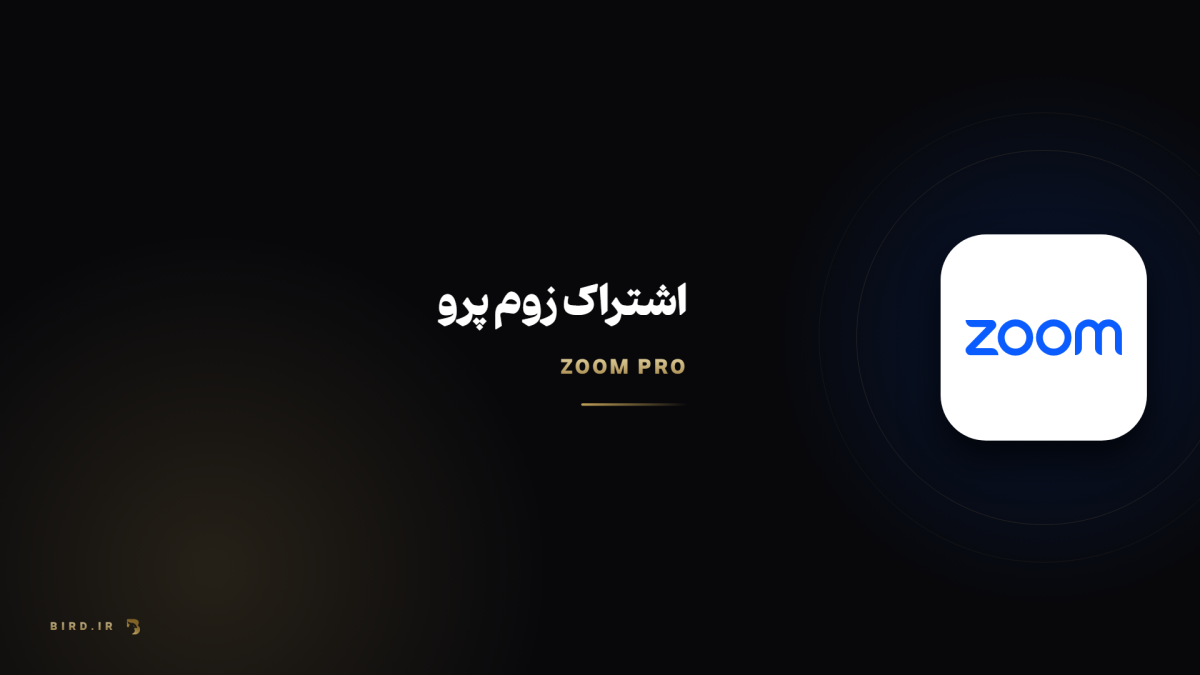 زوم چیست